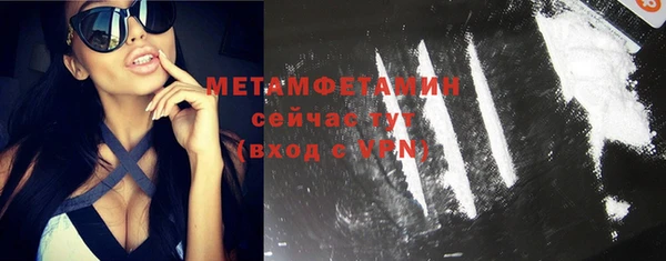 сатива Бородино