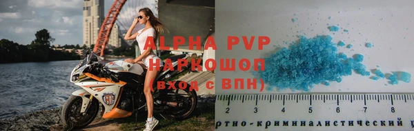 сатива Бородино