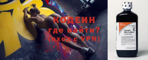 сатива Бородино