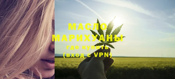 сатива Бородино