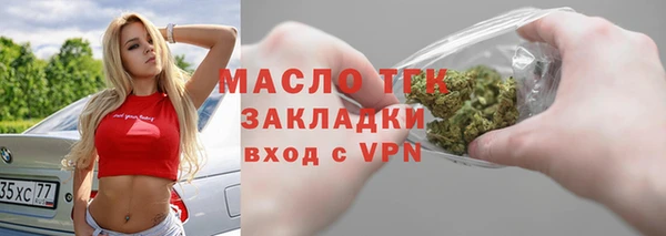 сатива Бородино