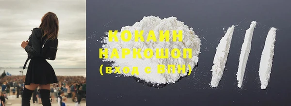 сатива Бородино