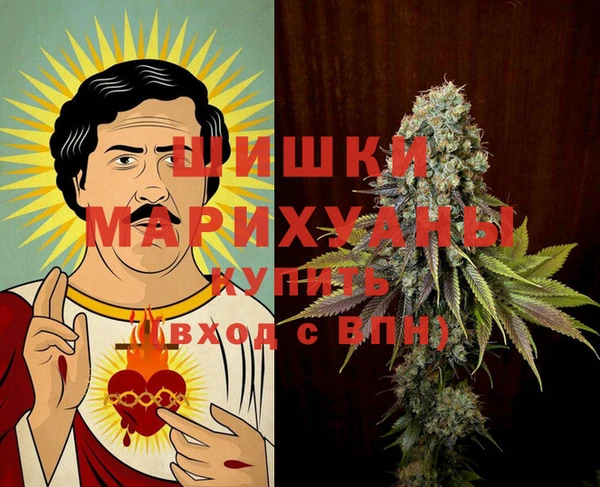 МДПВ Бронницы