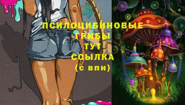 МДПВ Бронницы