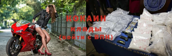 сатива Бородино