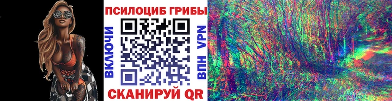 Псилоцибиновые грибы Psilocybine cubensis  хочу наркоту  Новочеркасск 